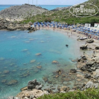 фото из отзыва ID 981282