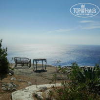 фото из отзыва ID 981282