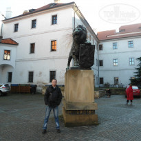 фото из отзыва ID 981343