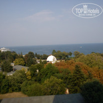 фото из отзыва ID 981516