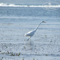 фото из отзыва ID 981629