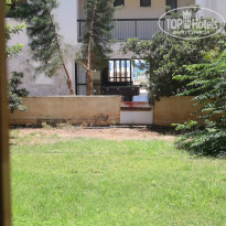 фото из отзыва ID 981970