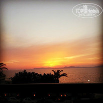 фото из отзыва ID 981316