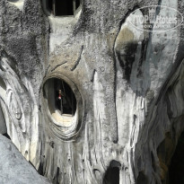 фото из отзыва ID 981562