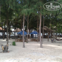 фото из отзыва ID 981562