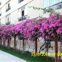 фото из отзыва ID 981863