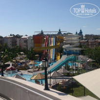 фото из отзыва ID 981815