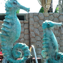 фото из отзыва ID 982030