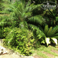 фото из отзыва ID 982030