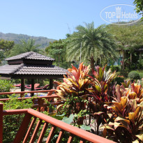 фото из отзыва ID 982030