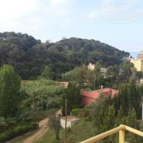 фото из отзыва ID 982156