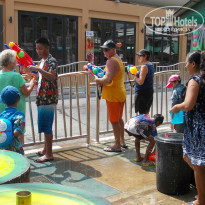 фото из отзыва ID 982059