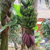 фото из отзыва ID 982235