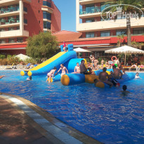 фото из отзыва ID 982329