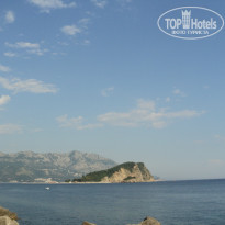 фото из отзыва ID 982351