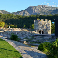 фото из отзыва ID 982466