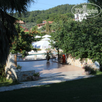 фото из отзыва ID 982498