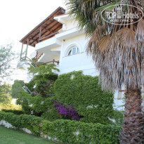 фото из отзыва ID 982498