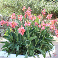 фото из отзыва ID 982498