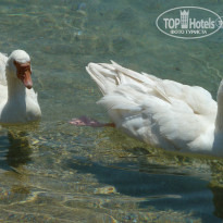 фото из отзыва ID 982498