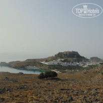 фото из отзыва ID 982533