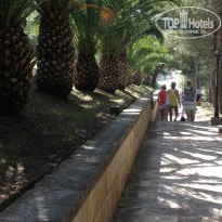 фото из отзыва ID 982542