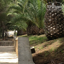 фото из отзыва ID 982542