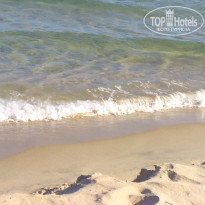 фото из отзыва ID 982676