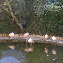 фото из отзыва ID 982676