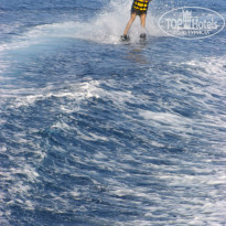 фото из отзыва ID 982676