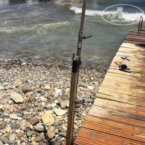 фото из отзыва ID 982695