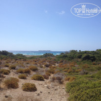 фото из отзыва ID 982894