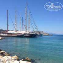 фото из отзыва ID 982894