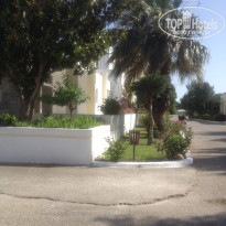 фото из отзыва ID 982894