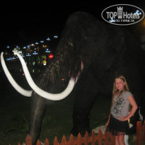 фото из отзыва ID 982392