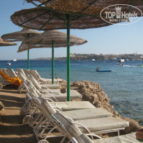 фото из отзыва ID 982392