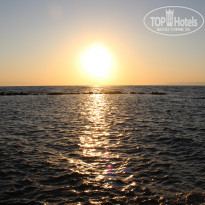 фото из отзыва ID 982133