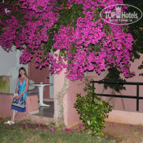 фото из отзыва ID 982133