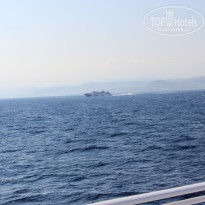 фото из отзыва ID 982133