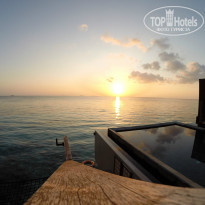 фото из отзыва ID 983176