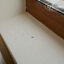 фото из отзыва ID 983354