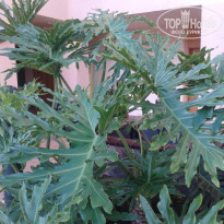 фото из отзыва ID 983415