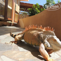 фото из отзыва ID 983831