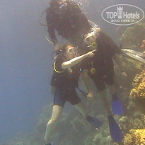 фото из отзыва ID 983909