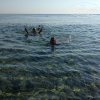 фото из отзыва ID 983224