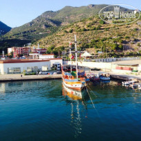 фото из отзыва ID 983880