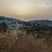 фото из отзыва ID 984113