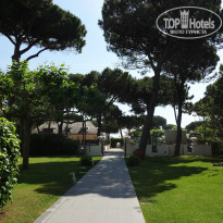 фото из отзыва ID 984239