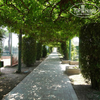 фото из отзыва ID 984239