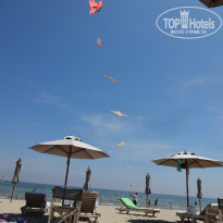 фото из отзыва ID 984239